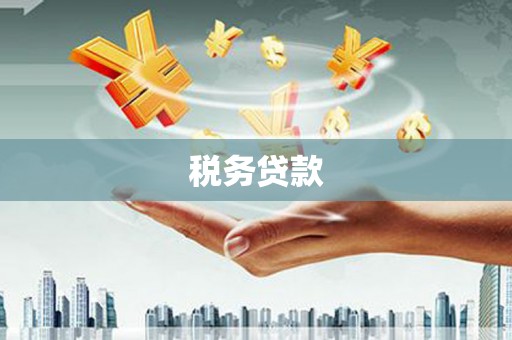 云岩税务贷款
