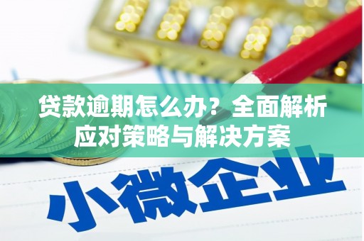云岩贷款逾期怎么办？全面解析应对策略与解决方案