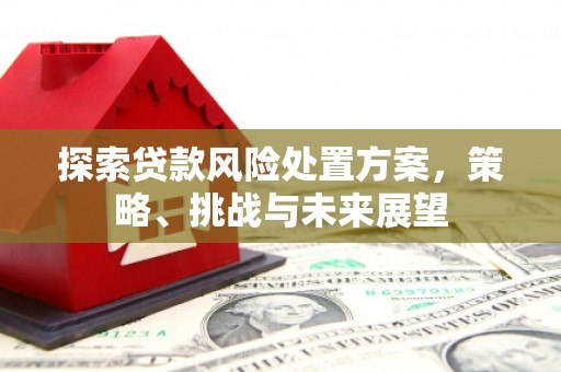 云岩探索贷款风险处置方案，策略、挑战与未来展望