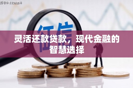 云岩灵活还款贷款，现代金融的智慧选择