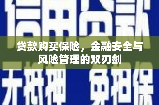 云岩贷款购买保险，金融安全与风险管理的双刃剑
