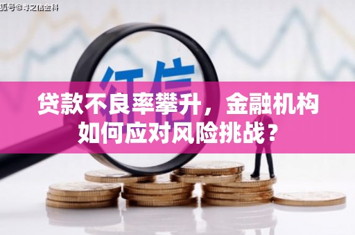 云岩贷款不良率攀升，金融机构如何应对风险挑战？