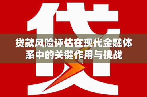 云岩贷款风险评估在现代金融体系中的关键作用与挑战