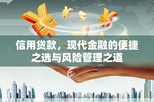 云岩信用贷款，现代金融的便捷之选与风险管理之道