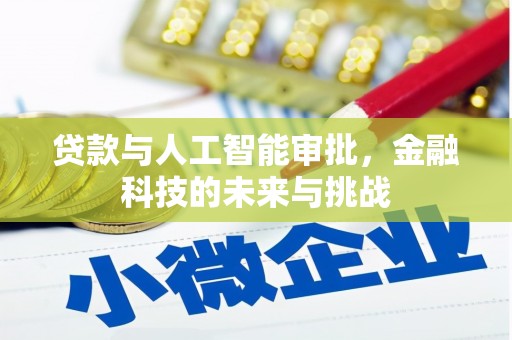 云岩贷款与人工智能审批，金融科技的未来与挑战