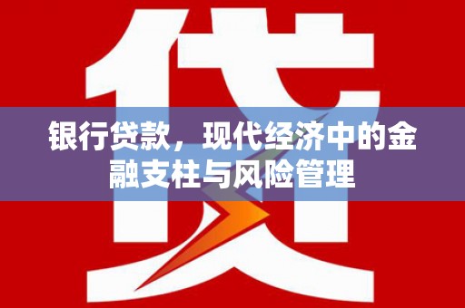 云岩银行贷款，现代经济中的金融支柱与风险管理