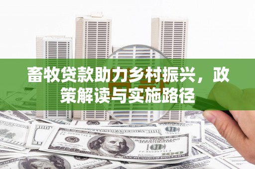 云岩畜牧贷款助力乡村振兴，政策解读与实施路径