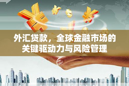云岩外汇贷款，全球金融市场的关键驱动力与风险管理
