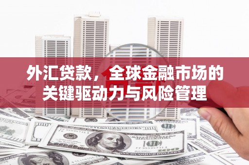云岩外汇贷款，全球金融市场的关键驱动力与风险管理