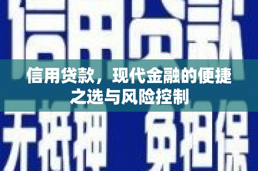 云岩信用贷款，现代金融的便捷之选与风险控制