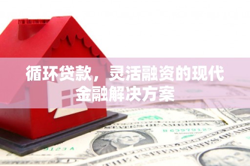 云岩循环贷款，灵活融资的现代金融解决方案