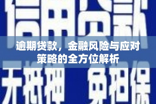 云岩逾期贷款，金融风险与应对策略的全方位解析
