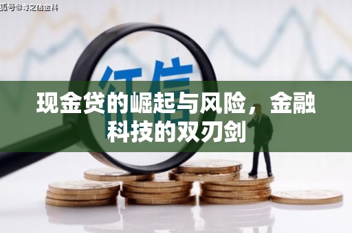 云岩现金贷的崛起与风险，金融科技的双刃剑