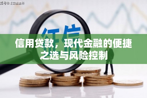 云岩信用贷款，现代金融的便捷之选与风险控制