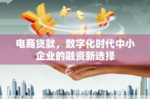 云岩电商贷款，数字化时代中小企业的融资新选择