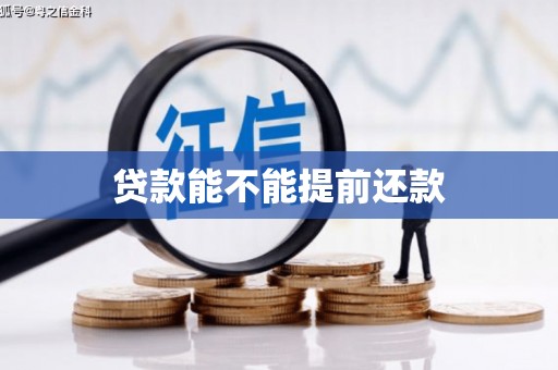云岩贷款能不能提前还款