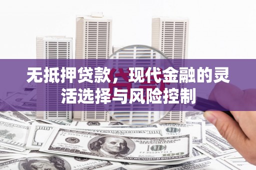 云岩无抵押贷款，现代金融的灵活选择与风险控制