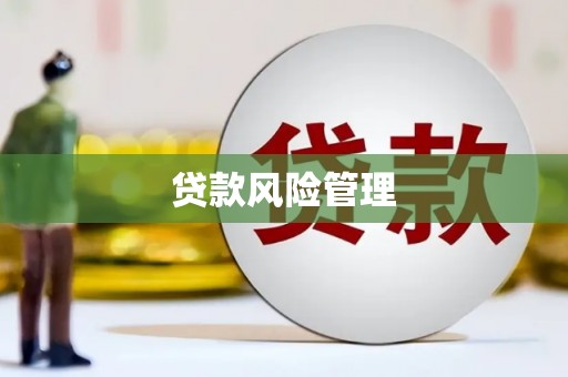 云岩贷款风险管理