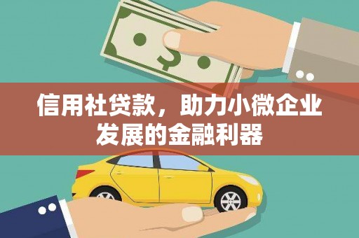 云岩信用社贷款，助力小微企业发展的金融利器