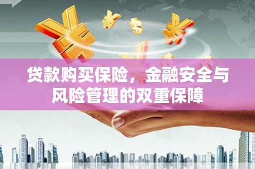 云岩贷款购买保险，金融安全与风险管理的双重保障