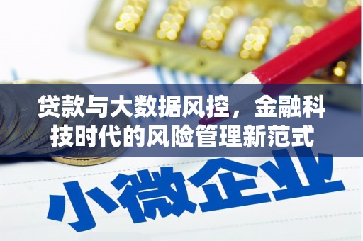 云岩贷款与大数据风控，金融科技时代的风险管理新范式