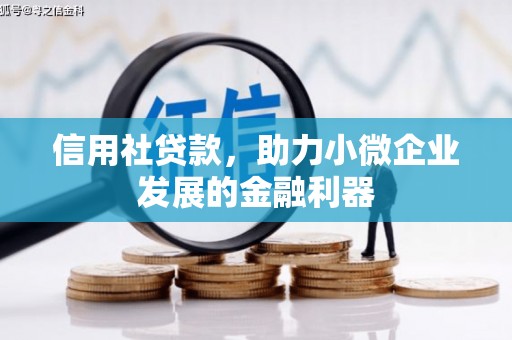 云岩信用社贷款，助力小微企业发展的金融利器