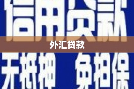 云岩外汇贷款