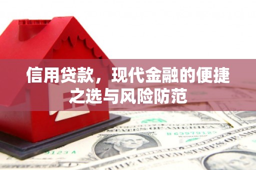 云岩信用贷款，现代金融的便捷之选与风险防范