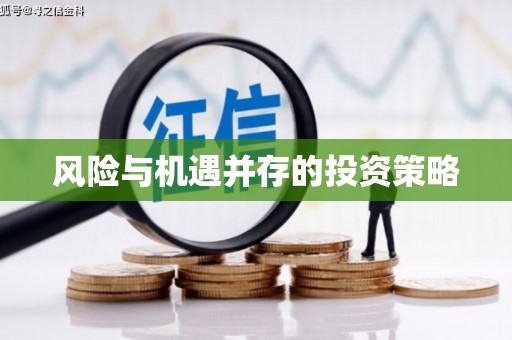云岩风险与机遇并存的投资策略