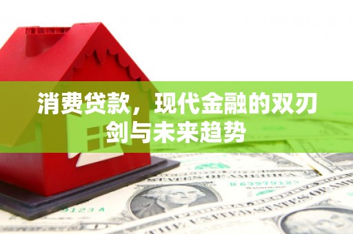 云岩消费贷款，现代金融的双刃剑与未来趋势