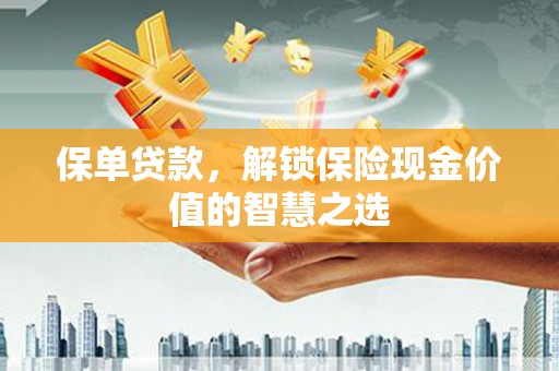 云岩保单贷款，解锁保险现金价值的智慧之选