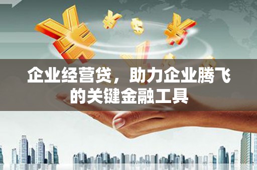 云岩企业经营贷，助力企业腾飞的关键金融工具