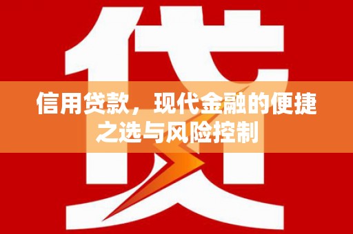 云岩信用贷款，现代金融的便捷之选与风险控制