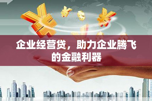 云岩企业经营贷，助力企业腾飞的金融利器