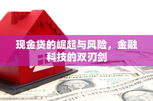 云岩现金贷的崛起与风险，金融科技的双刃剑