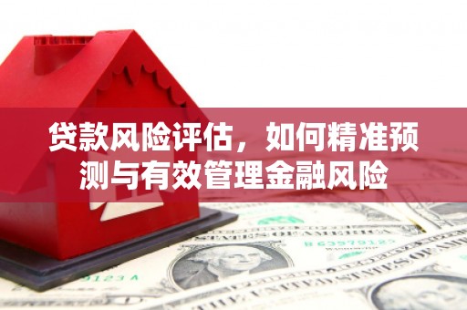云岩贷款风险评估，如何精准预测与有效管理金融风险
