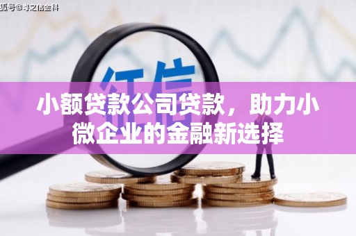 云岩小额贷款公司贷款，助力小微企业的金融新选择