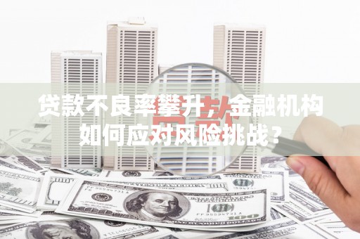 云岩贷款不良率攀升，金融机构如何应对风险挑战？