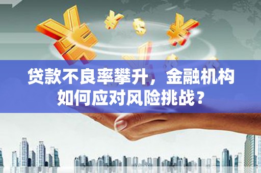 云岩贷款不良率攀升，金融机构如何应对风险挑战？