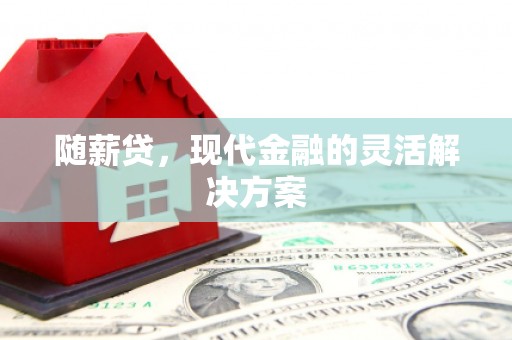 云岩随薪贷，现代金融的灵活解决方案