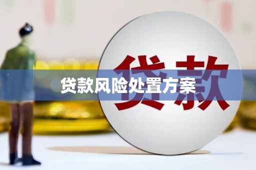 云岩贷款风险处置方案