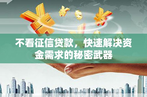 云岩不看征信贷款，快速解决资金需求的秘密武器