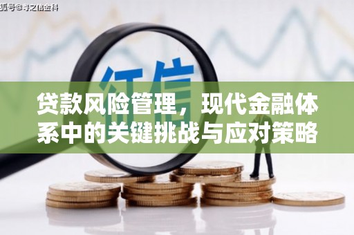 云岩贷款风险管理，现代金融体系中的关键挑战与应对策略