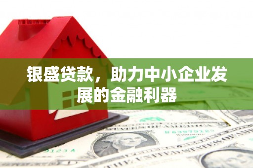 云岩银盛贷款，助力中小企业发展的金融利器