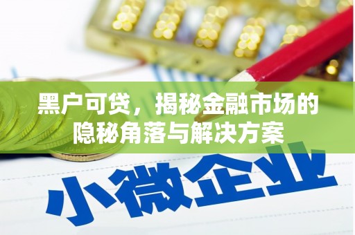 云岩黑户可贷，揭秘金融市场的隐秘角落与解决方案