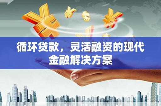 云岩循环贷款，灵活融资的现代金融解决方案