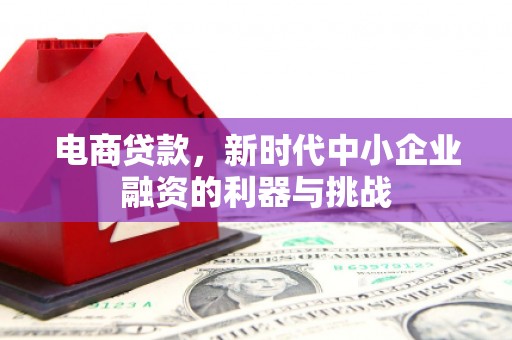 云岩电商贷款，新时代中小企业融资的利器与挑战