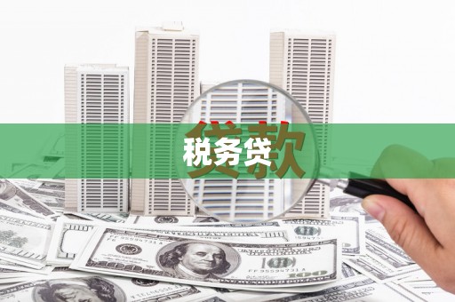 云岩税务贷