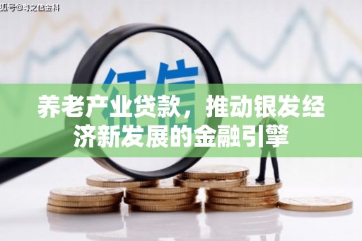 云岩养老产业贷款，推动银发经济新发展的金融引擎