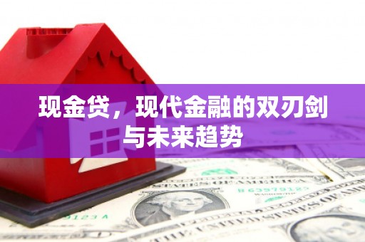 云岩现金贷，现代金融的双刃剑与未来趋势
